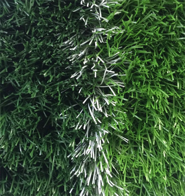 pic